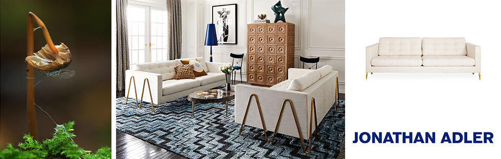 Jonathan Adler