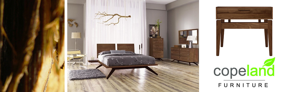 Copeland Furniture