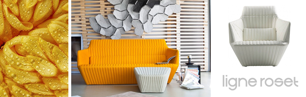 Ligne Roset