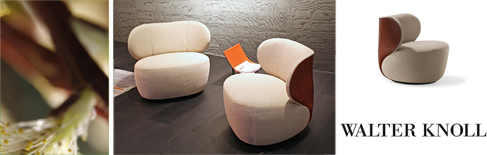萬德諾(WALTER KNOLL)